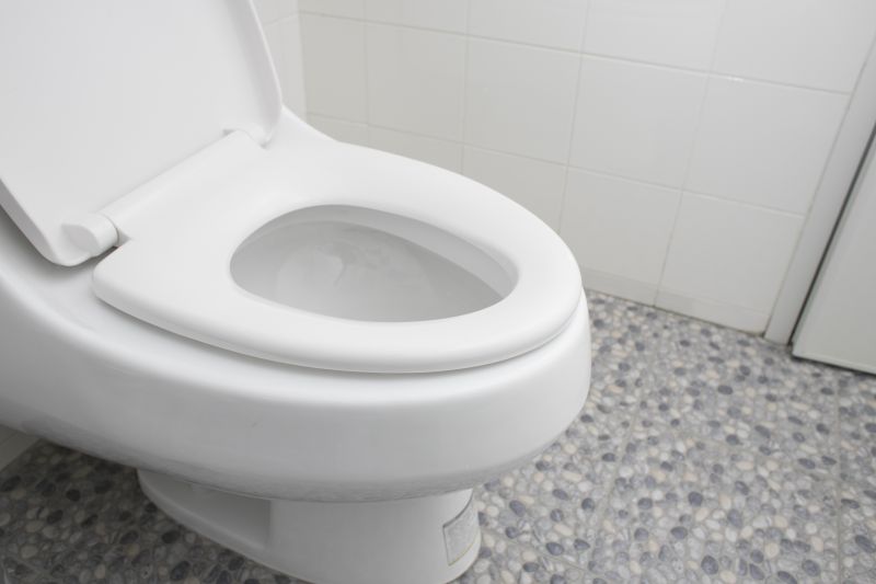 Modern Toilet and Bidet