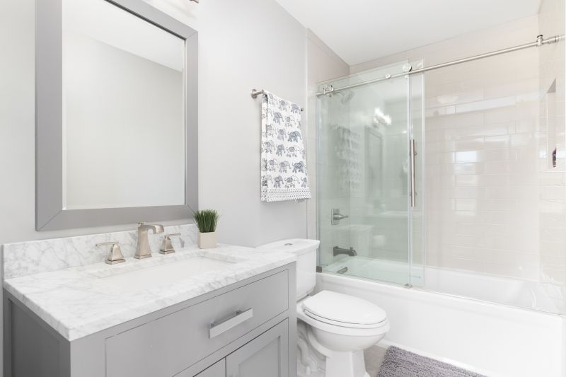 Top Tub To Shower Conversion Companies in Greenbrae, CA